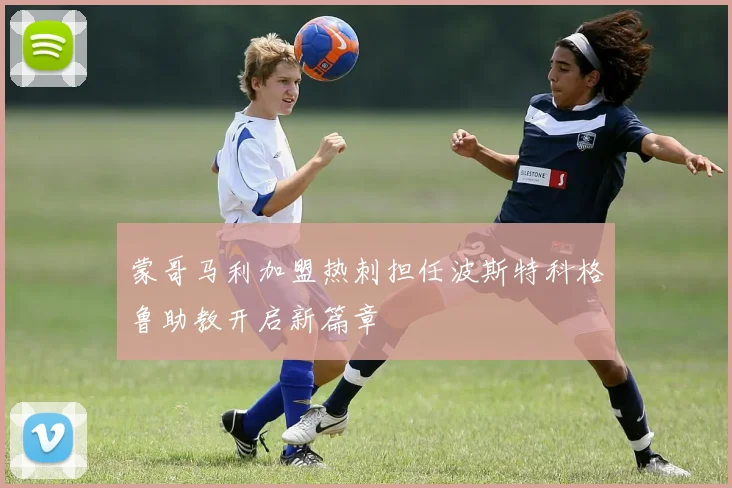 蒙哥马利加盟热刺担任波斯特科格鲁助教开启新篇章