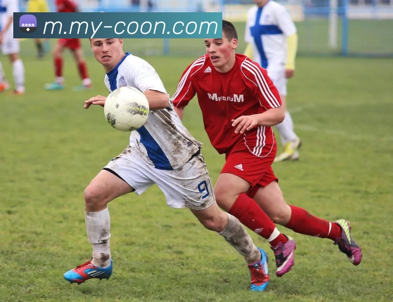 开元体育全站App